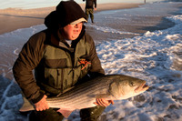 STRIPERS: C&R RESEARCH IBSP/11.21.15
