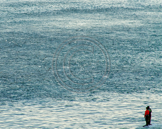 Montauk, NY.  Two fishermen watch an army of striped bass pass by them.l
