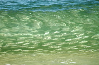 A school of mullet in a wave.  Shot from the beach.