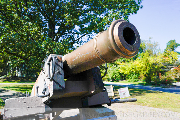 Revolutionary War Field Cannon.