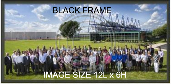 12x6 Black frame/no matte. Non-glare glass.  Overall size 12L x 6H  $39
