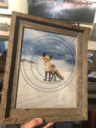 "Cloud Fox" Tom Lynch photo print framed in 11x14 reclaimed wood with non-glare glass.  ..60