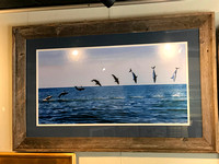 "MAKO" photo by Tom Lynch (#50/100 prints). Framed in reclaimed wood... 950