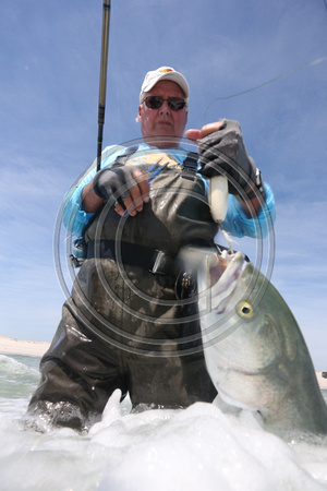 Mick Martino Bluefish IBSP sandbar - 14-May-16 09:50