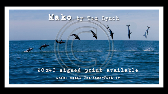 Signed 20X40 Gallery Quality Print Available $250USD
