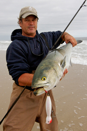 Tom Lynch 17 pound bluefish