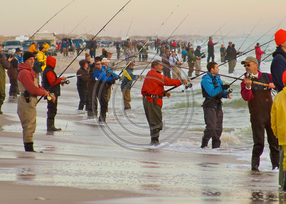 Most crowded day of surf fishing for striped bass in NJ's history.