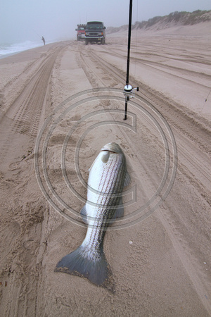 published in On the Water 2013; STRIPERS ON THE LINE movie poster