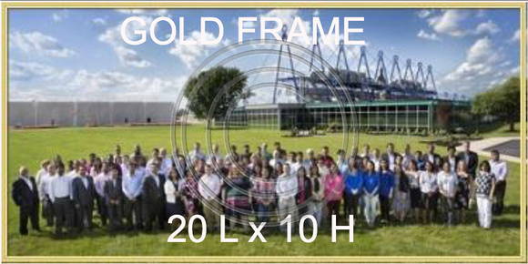 Gold frame/no matte. Non-glare glass. Print size: 20L x 10H Overall size 20L x 10H $69