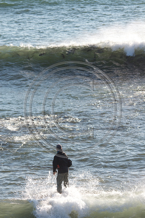 MTK - wave full of stripers 1-Oct-12 08:46