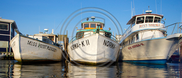 Norma K fleet.