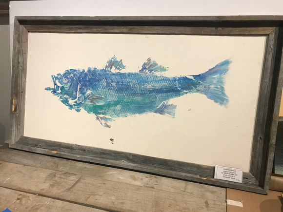 #1  striped bass -  fish print / gyotaku- frame reclaimed wood 48x30ish 580