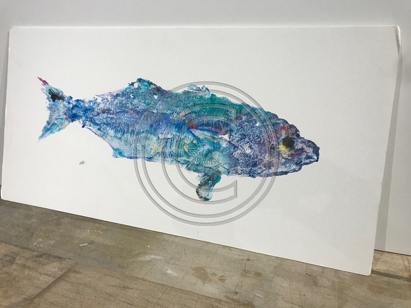 #6 bluefish   fish print / gyotaku stretched canvas 30x15    220