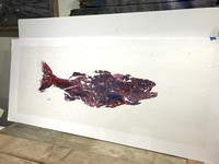 #8  striped bass  fish print / gyotaku on ricepaper 48x18 340