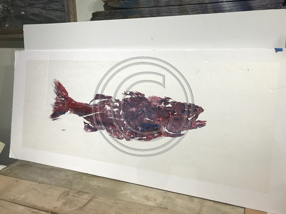 #8  striped bass  fish print / gyotaku on ricepaper 48x18 340