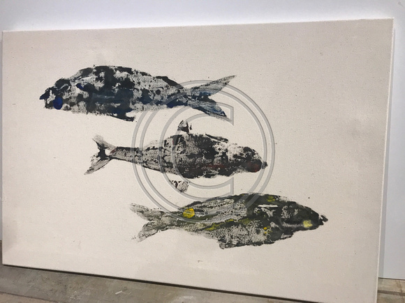 #14 baitfis  fish print / gyotaku stretched canvas 30x20      340