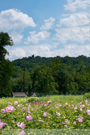 Bowman's Hill Wildflower Preserve