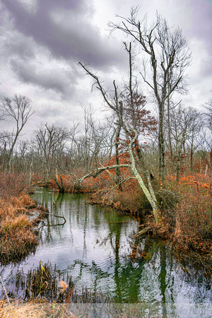 Deep Run Preserve / Old Bridge