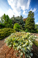 Louise Arnold Tanger Arboretum