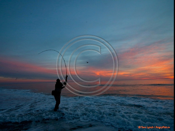Ryan McClusky fires a cast out for pre-sunrise bass at IBSP, NJ - SMALL FILE - RAW avail