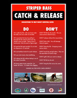 CATCH AND RELEASE DO's + DON'Ts