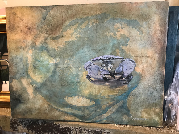 "Study of Stone Crab" - Mark Giampietro (original) Acrylic on Canvas 18x24 (No Prints) 800