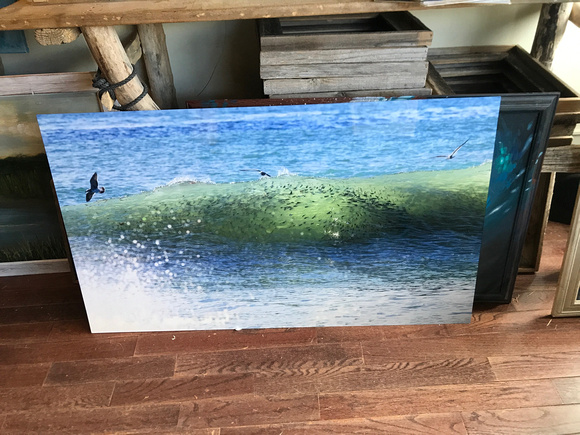 "Green Fish Wave"  - peanut bunker in wave by Tom Lynch. photo on metal 48x22 ... 800
