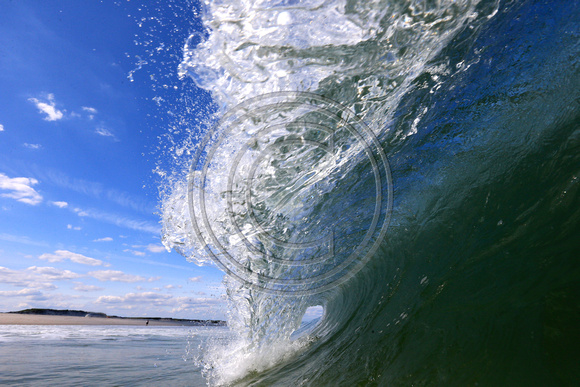 ISLAND BEACH STATE PARK, NJ