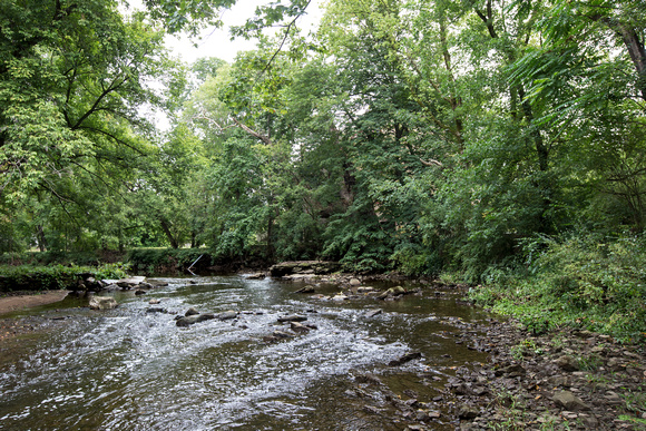 BB Wissahickon Creek