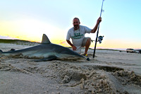 Rick Sauvigne    Brown Shark
