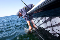 Tom Lynch releases a nice striper aboard Ted Tafaro's REEL FREEDOM (credit: Ted Tafaro/Angry Fish)