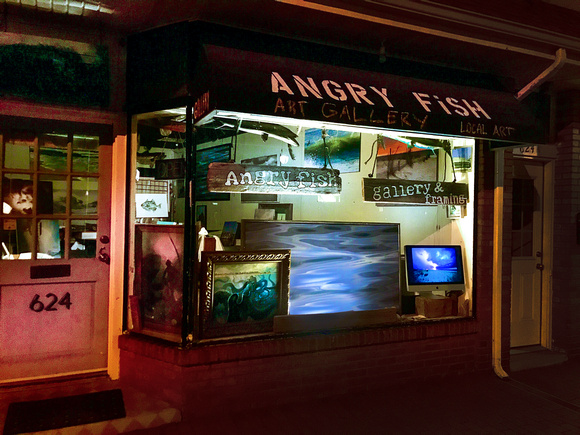 ANGRY FISH GALLERY AT NIGHT