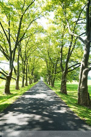 Entrance to Fonthill