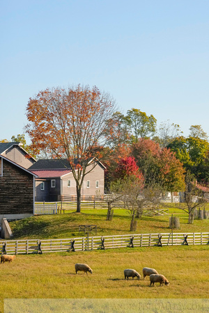 Longstreet Farm