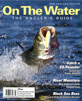 Aug 2014 On The Water NE cover