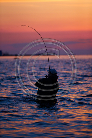 NOT AVAILABLE for publication within Sport Fishing Industry
