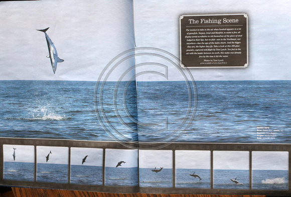 On The Water 2013 Feature Spread
